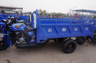 Adult 250cc Cargo Tricycle