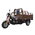 Adult Petrol 80km/H 250cc Three Wheel Bike With Motor