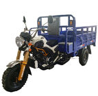 Adult Cargo 1.8m*1.3m 80km/H Tricycle Food Cart
