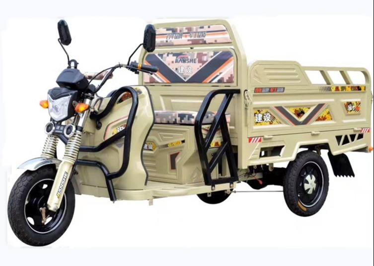Adult Three Wheel 60v 650w Loading Tricycle Rickshaw