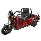Fat Tire 500w 48V Electric Vehicles For Adults