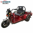 500 Watt Adults 40km/H Electric Cargo Tricycle