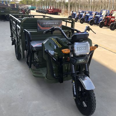 Micro Recumbent 48v 800W 3 Wheel Cargo Motorcycle