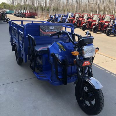 Micro Recumbent 48v 800W 3 Wheel Cargo Motorcycle