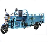 Rickshaw Passenger 1200w E Bike Cargo Tricycle
