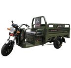 Elder Pedal Assisted 3.1m*1m Electric Cargo Tricycle