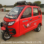 Petrol Kids 200cc 65km/H Gas Powered 3 Wheel Trikes