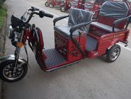 Three Wheel Adults 200cc Electric Passenger Tricycle
