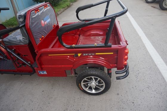 Three Wheel Adults 200cc Electric Passenger Tricycle