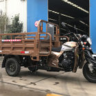 Hybrid Special Transport 65km/H 150CC Cargo Tricycle