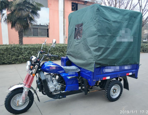 Gas Adult 300kg 12V 18A Cargo Tricycle Motorcycle