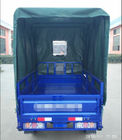 Gas Adult 300kg 12V 18A Cargo Tricycle Motorcycle