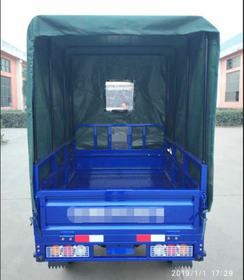 Gas Adult 300kg 12V 18A Cargo Tricycle Motorcycle