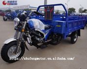4 Stroke Gas Motorized 3 Wheel Cargo Motorcycle