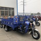 Gasoline 2*1.35m 300cc 3 Wheel Cargo Motorcycle