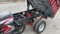Pedal Scooter Electric Adults 250CC Cargo Tricycle