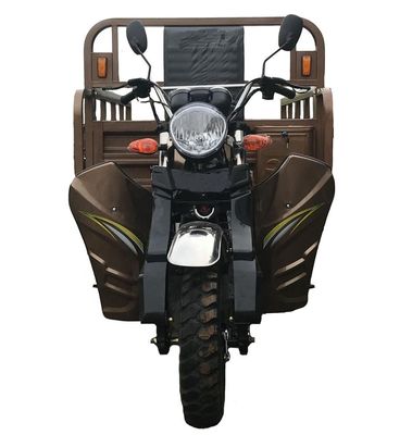 Cargo 2000kg Disability Trike Three Wheel Motorcycle