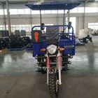 65000m/H 250cc 3 Wheel Motorbike With Roof