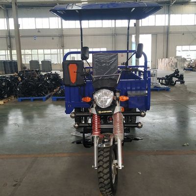 65000m/H 250cc 3 Wheel Motorbike With Roof