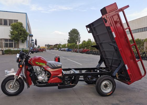 Water Cooling Petrol 175cc Cargo Motor Tricycle