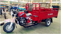 60KM/H Three Wheel Cargo Motorcycle 200CC 250CC 300CC Front Shock