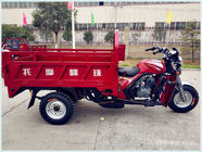 Drumbrake Hydraulic Dump 200CC Cargo Tricycle 150CC 175CC
