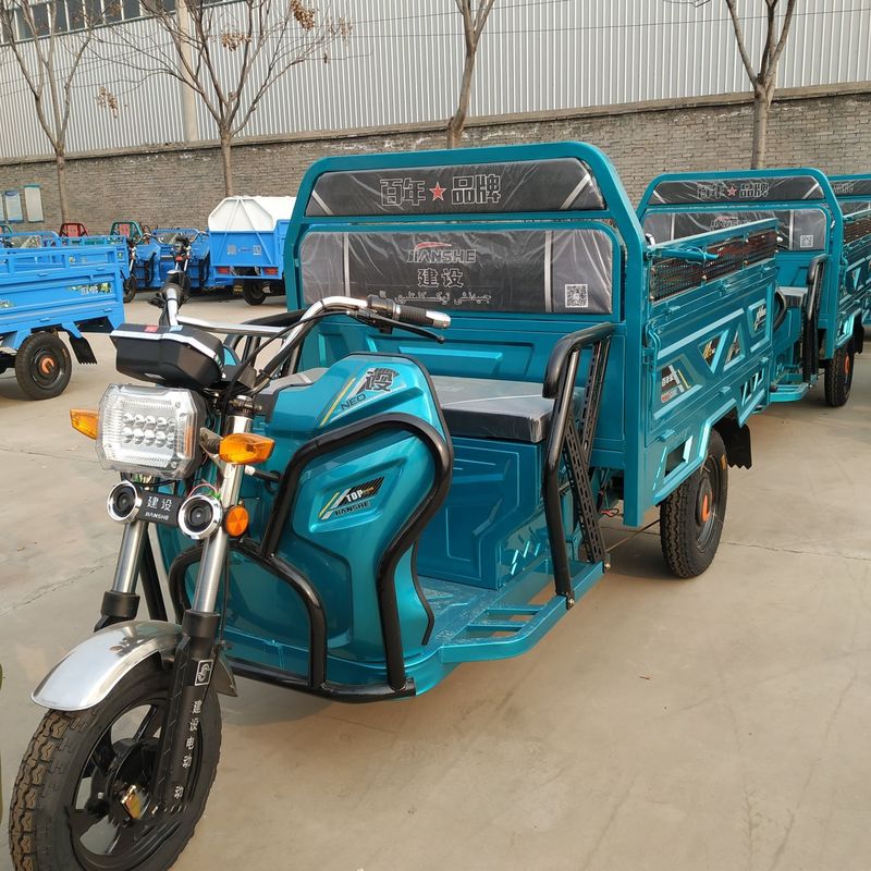 China Electric Trike Motorcycle Triciclo ElectricoFamily Adult Passenger Tricycles 3 Wheel Electric Rickshaw Electric Tricycle