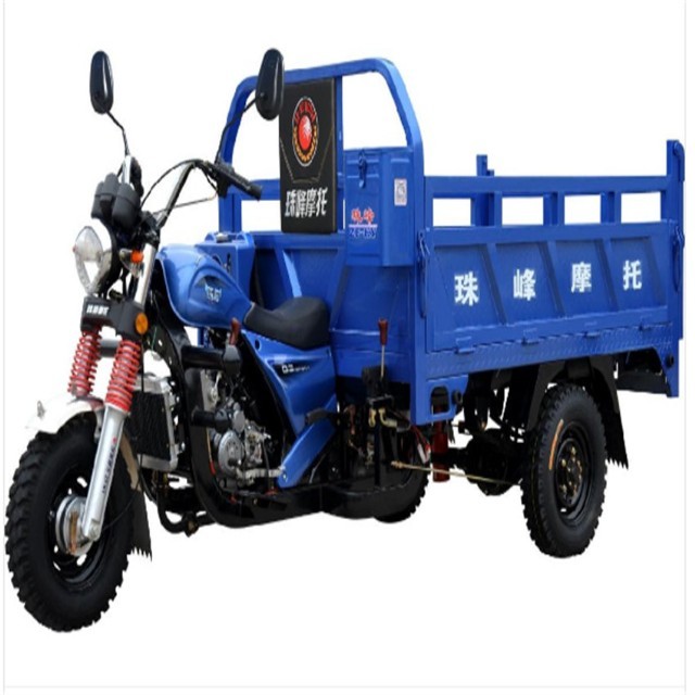 0.38T Motorized Adult Tricycle
